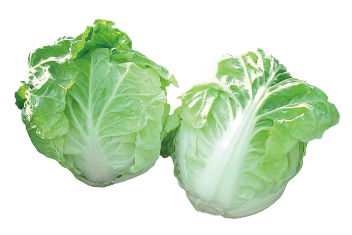 ALL_catalog_25L04_bM2YqQRAjO