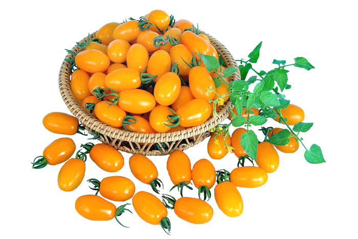 ALL_catalog_25L04_c1TnyvDHrd