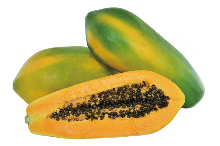 ALL_catalog_25L04_cvgRHQdVip