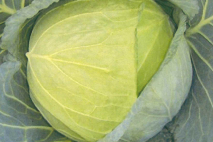 ALL_catalog_25L04_dHjoqA25s3