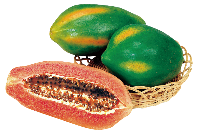 ALL_catalog_25L04_gKYh5xw0hh