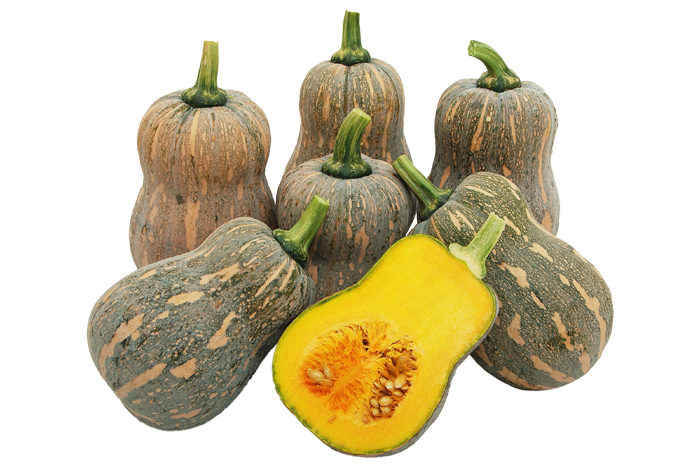 ALL_catalog_25L04_hWC6zo4OTJ