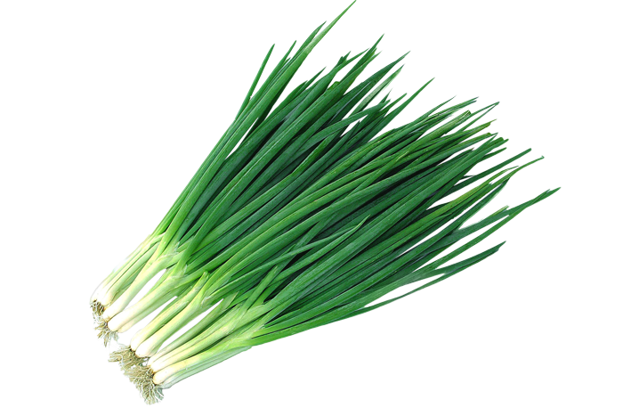 ALL_catalog_25L04_jaPtatVubT