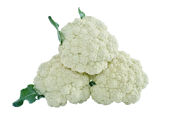 ALL_catalog_25L04_khVYW8AHvr