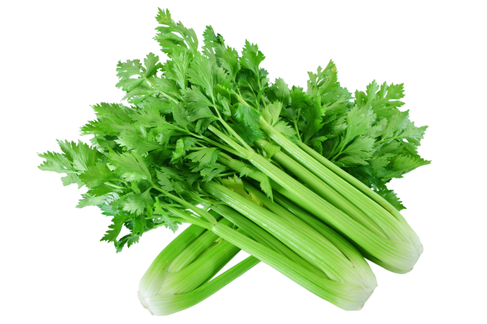 ALL_catalog_25L04_mQXkIJEe5V