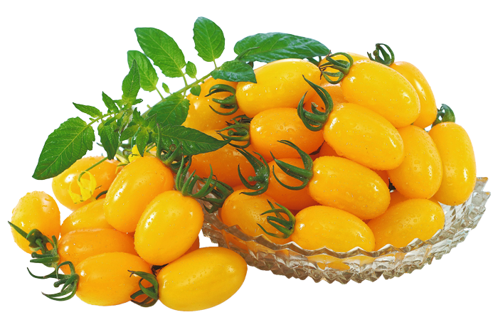 ALL_catalog_25L04_tl9CFZvzRg