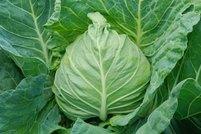 ALL_catalog_25L04_uqiLKucgIR