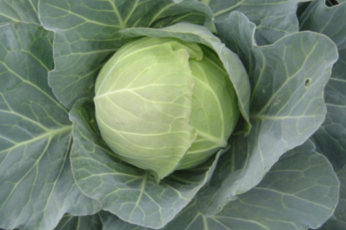 ALL_catalog_25L04_wKjQ8aK0TE