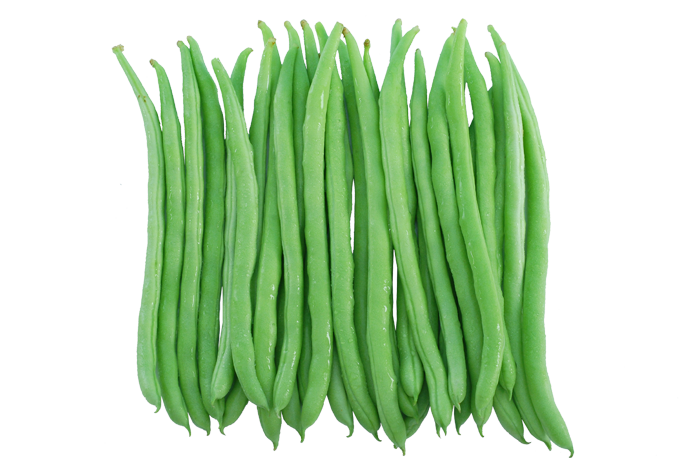 ALL_catalog_25L04_wPIuEK02PG