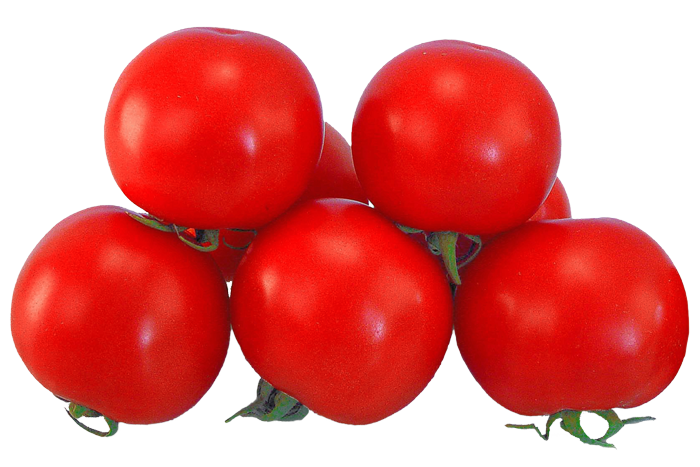 ALL_catalog_25L04_wQkM3LWC7I