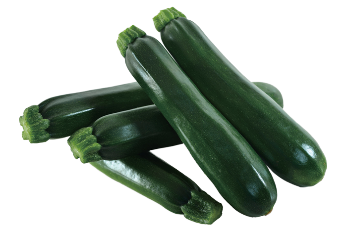 ALL_catalog_25L04_wg83vPgKxs