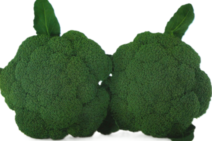 ALL_catalog_25L04_xk56GLbABh