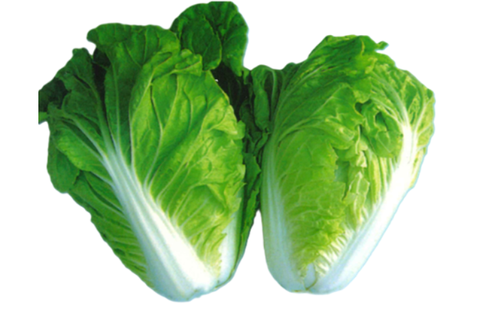 ALL_catalog_25L05_7hiSr7fryE