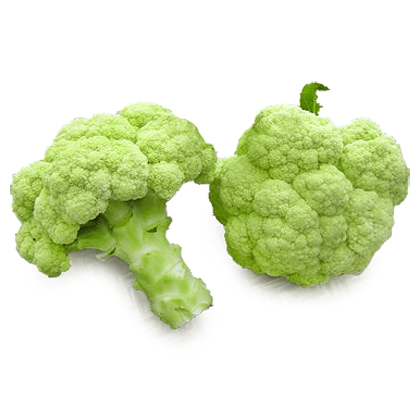 ALL_catalog_26A07_C19XrBXqjz