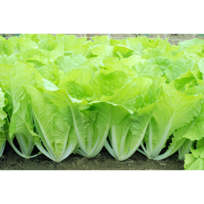 ALL_catalog_26C12_GLlCAJgXZw