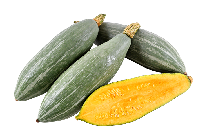 ALL_catalog_26C24_q0WGzVwNwo