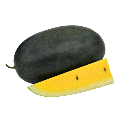 Aarohi Watermelon From  Known You Seed (India) (1)-KYI