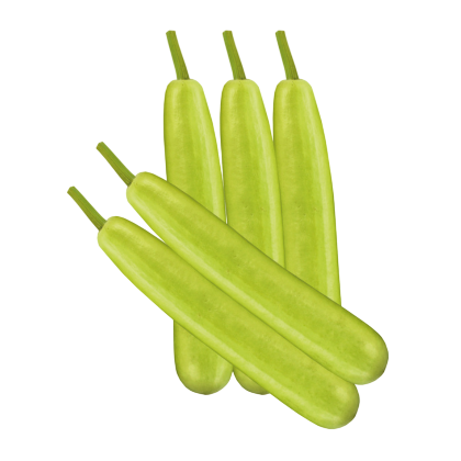 Bhushan Bottle Gourd From Known You Seed (India)-KYI