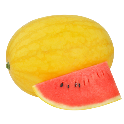 Yellow Princess-Known-You Seed India