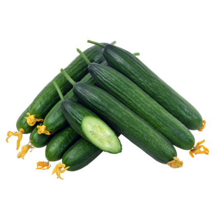 Ruchi-Known-You Seed India