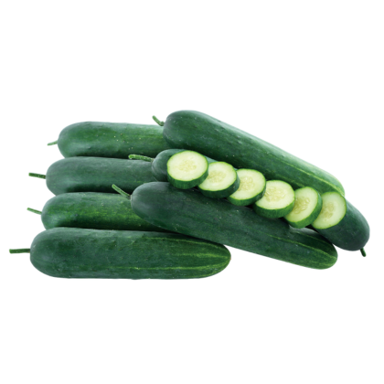 Ruchita-Known-You Seed India