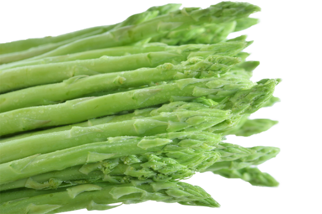 蘆筍8號-農友種苗