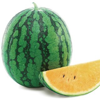 ALL_catalog_24E29_lx1ojDhksI