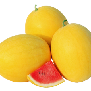 ALL_catalog_24F06_uQWWc5ZGuX