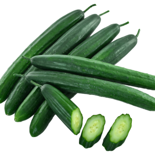 ALL_catalog_24F13_1jauXNZnfL