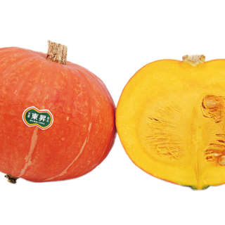 ALL_catalog_24F13_3TXJVi6581