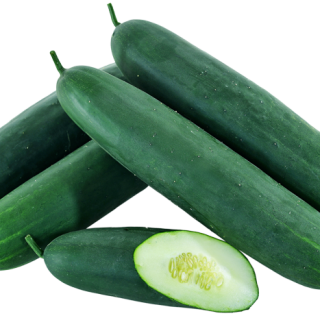 ALL_catalog_24F13_3ZEbfAnnPr