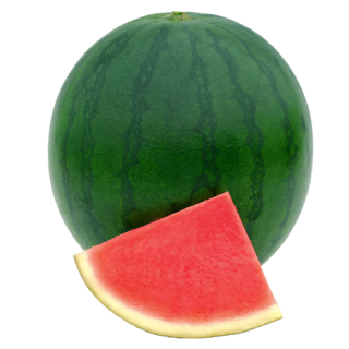 ALL_catalog_24F13_3pNGfCp7qf