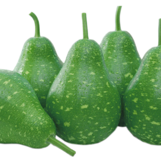 ALL_catalog_24F13_4hclKj03kE