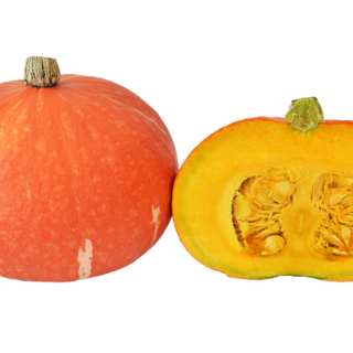 ALL_catalog_24F13_4sEAQICxRg