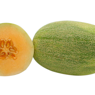 ALL_catalog_24F13_55VMfshkCY