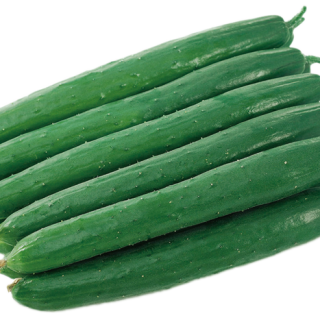 ALL_catalog_24F13_5kgEayGLrr