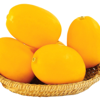 ALL_catalog_24F13_7iyHpd6fyN