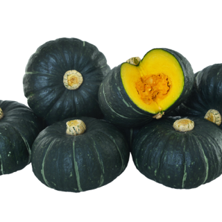 ALL_catalog_24F13_7mO0uI3xCq