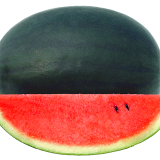 ALL_catalog_24F13_7oazlNzREE