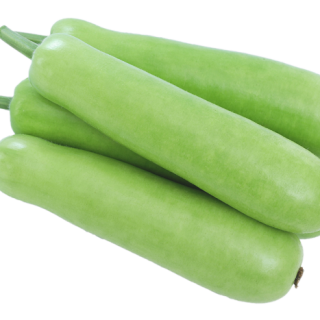 ALL_catalog_24F13_8EAzgNEJNB