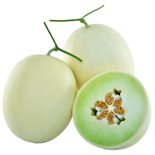 ALL_catalog_24F13_8bx54cLlfz