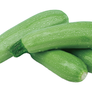 ALL_catalog_24F13_9Pm0C2tAXE