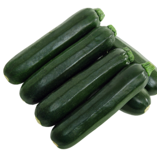 ALL_catalog_24F13_9eODMHuVUC