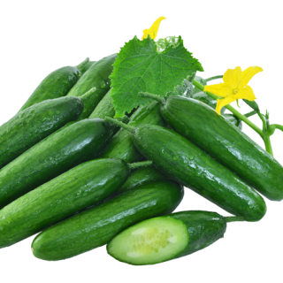 ALL_catalog_24F13_A9Hm0Bps8f