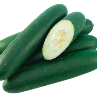 ALL_catalog_24F13_AIm3ja2O1Q