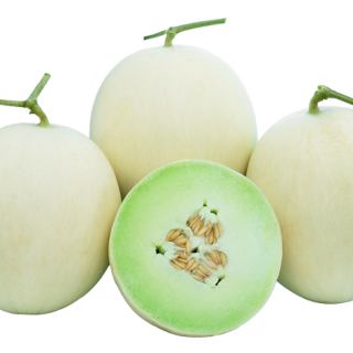 ALL_catalog_24F13_AS6J7MJ5XE