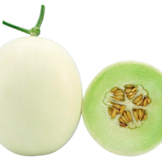 ALL_catalog_24F13_BC0XDXubBt