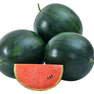 ALL_catalog_24F13_BmirLxvyN9