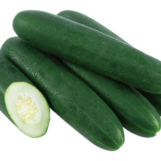 ALL_catalog_24F13_C1OxnylyT5