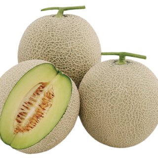 ALL_catalog_24F13_CQ3OLbkJeA